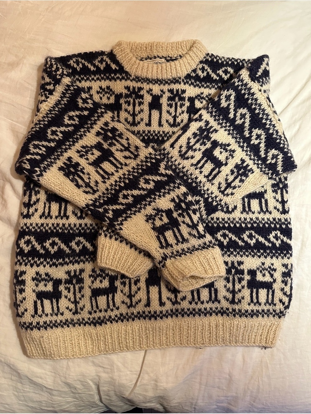 Chunky Wool Crewneck Sweater in Cream and Blue